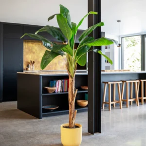 Artificial Large Banana Tree