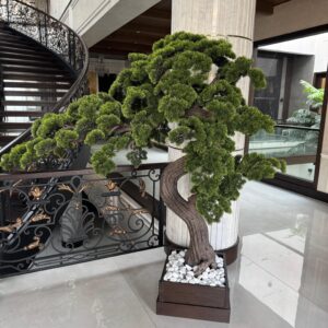 Eternal Life Moss - Mini Landscape Decor