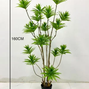 Green Plants Lilies Bamboo 7 feet tall