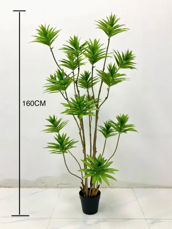 Green Plants Lilies Bamboo 7 feet tall