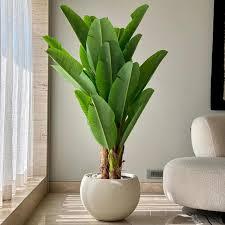 Home Artificial Banana Palm Tree