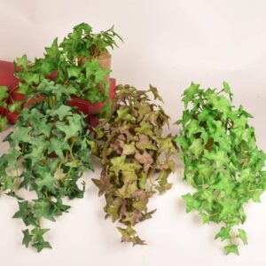 Multi-Color Ivy Plant Collection(single in this price)