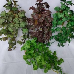 Colorful Cascading Vine Collection