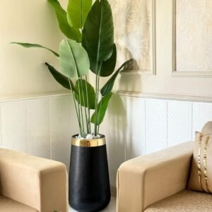 Elegant 6.5 ft Banana Palm plant