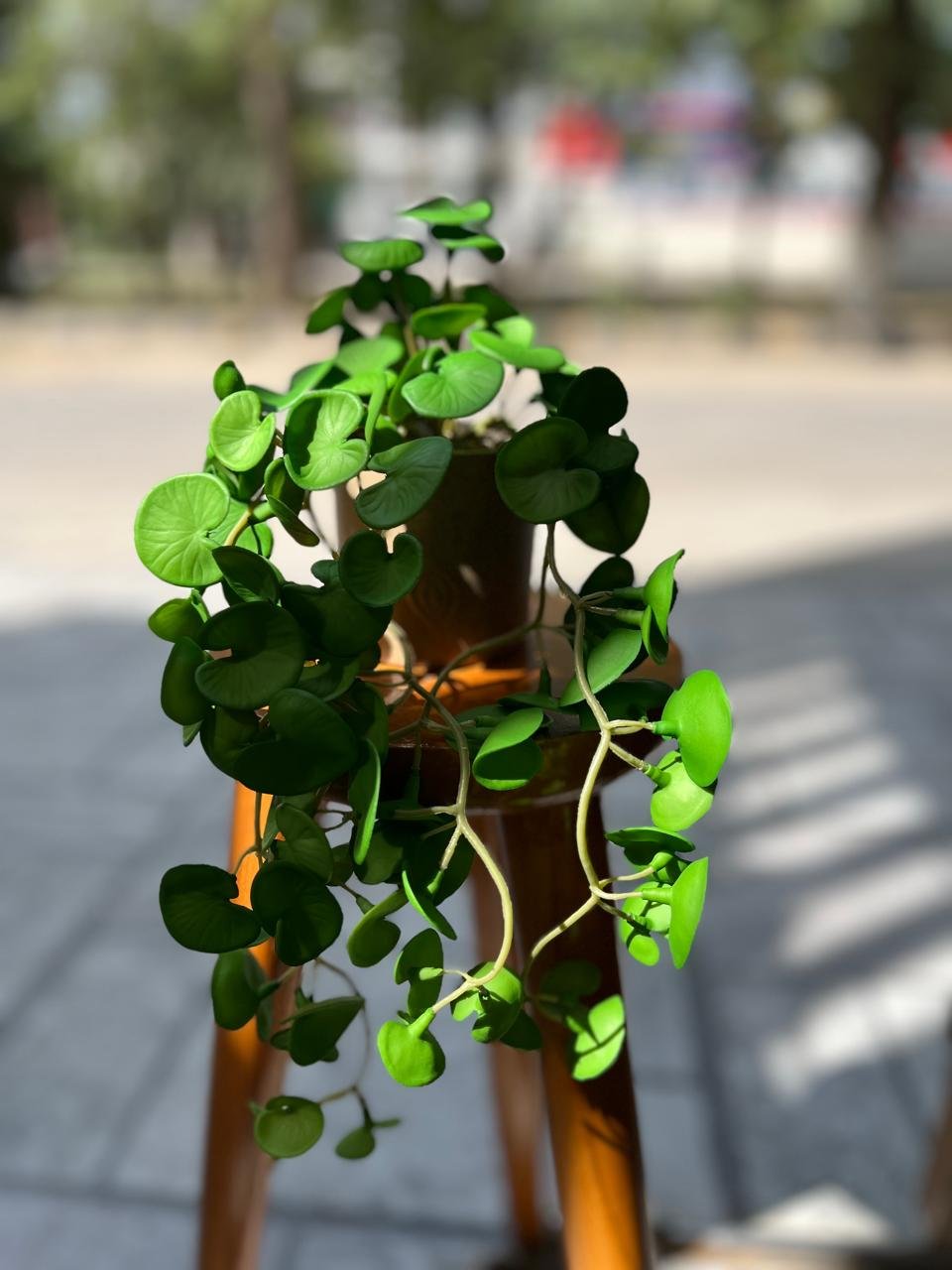Elegant Artificial Trailing Plant in a Sleek Pot