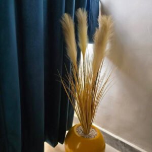Pampas yellow with round yellow pot height 3 feet