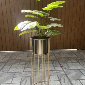 Money plant with metal stand