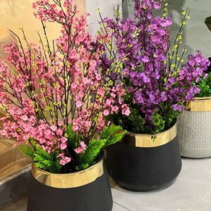 Cherry blossom stems with plastic pot having golden ring