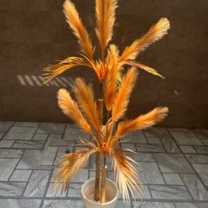 Pampas 4 feet
