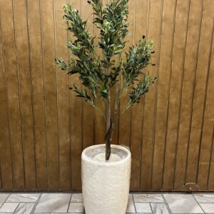 Olive plant with raw surface fiber planter height 6 feet