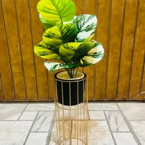 Double shade money plant with metal stand