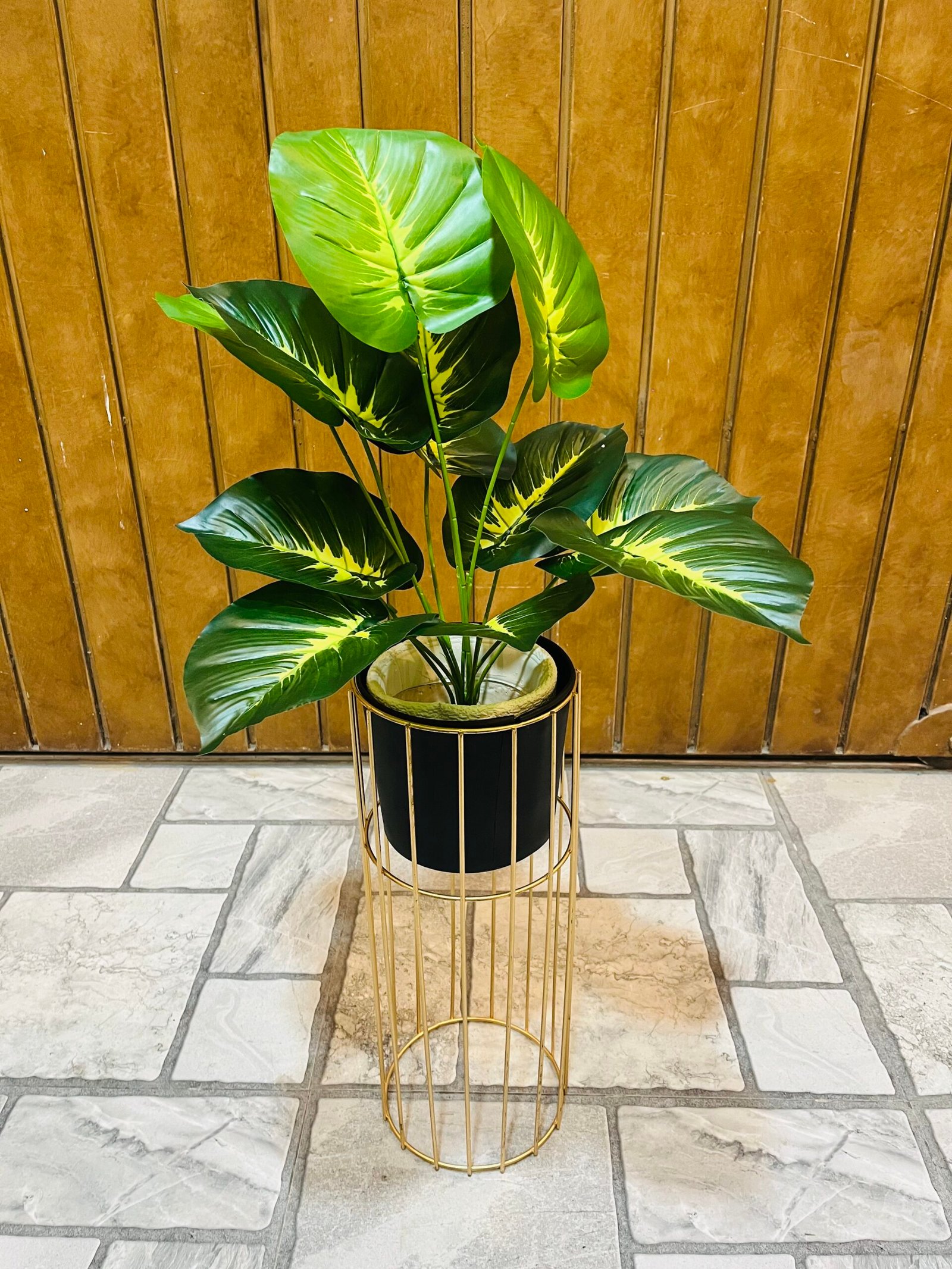 Vibrant Philodendron Plant With metal planter