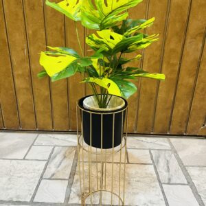 Monstera yellow and green shade with metal planter 3 feet total