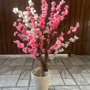 Cherry blossom 2.5 feet pink with white 2.5 feet