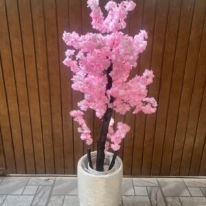 Cherry blossom pink with fiber planter height 6 feet