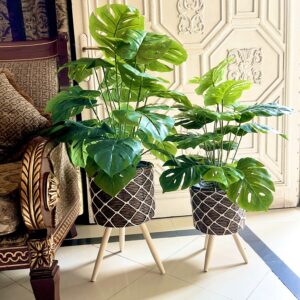 Montera plant with wooden tripod basket pair