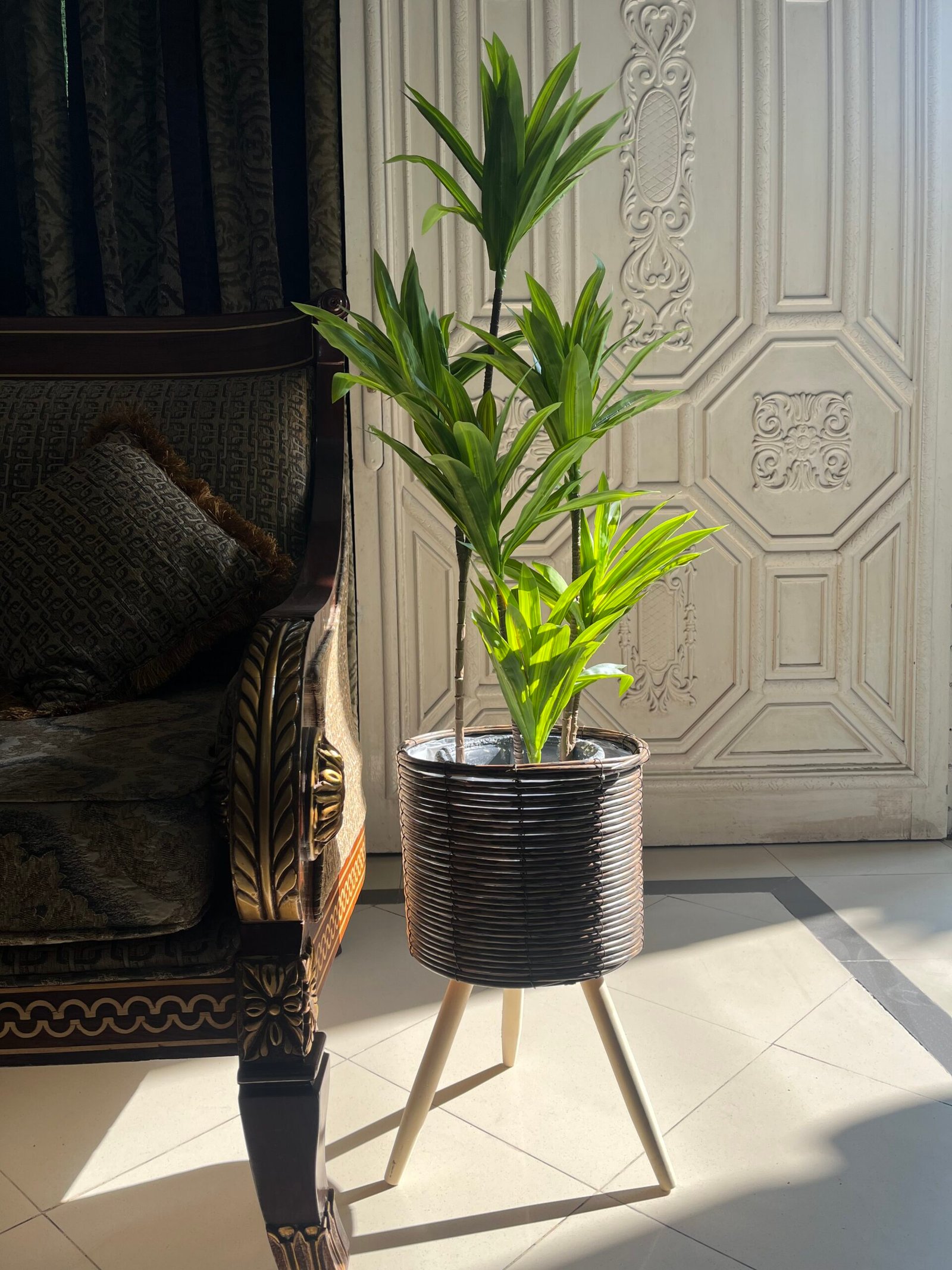 Artificial dracaena plant( 3 stems) with wooden tripod stand