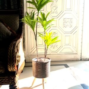 Dracaena plant artificial (2stems) with wooden tripod stand