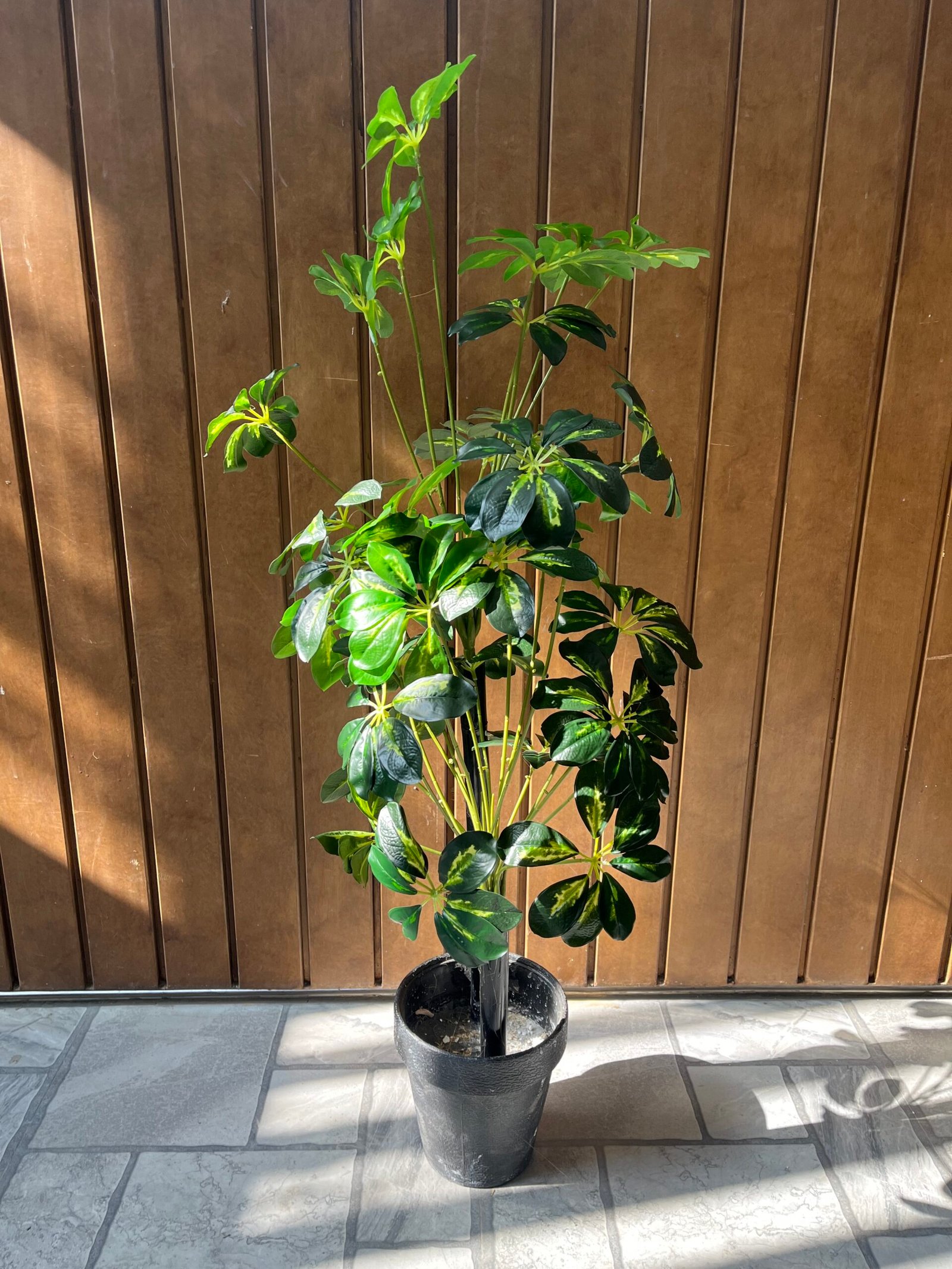 Chiko artificial 4.5 feet