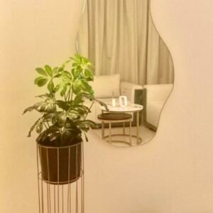 Chiku plant with metal stand