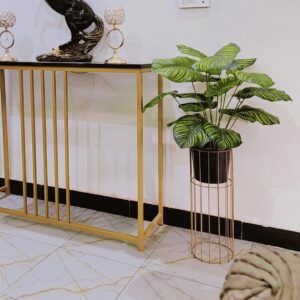 Money plant with metal stand 3 feet height