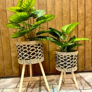 Plant with jute basket pair big 3.5 feet small 2 feet