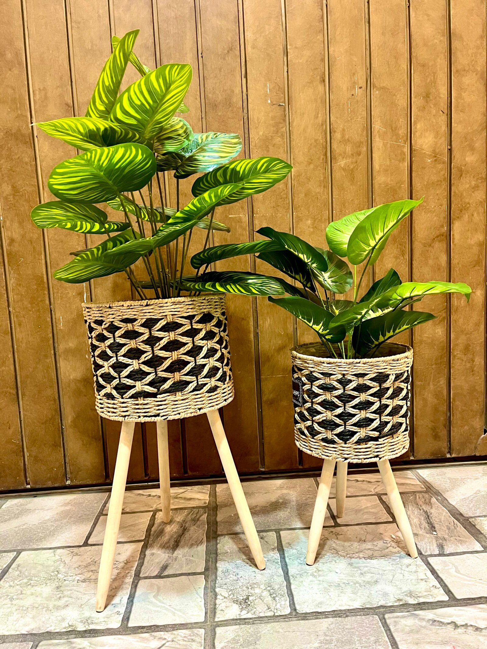 Plant with jute basket pair big 3.5 feet small 2 feet