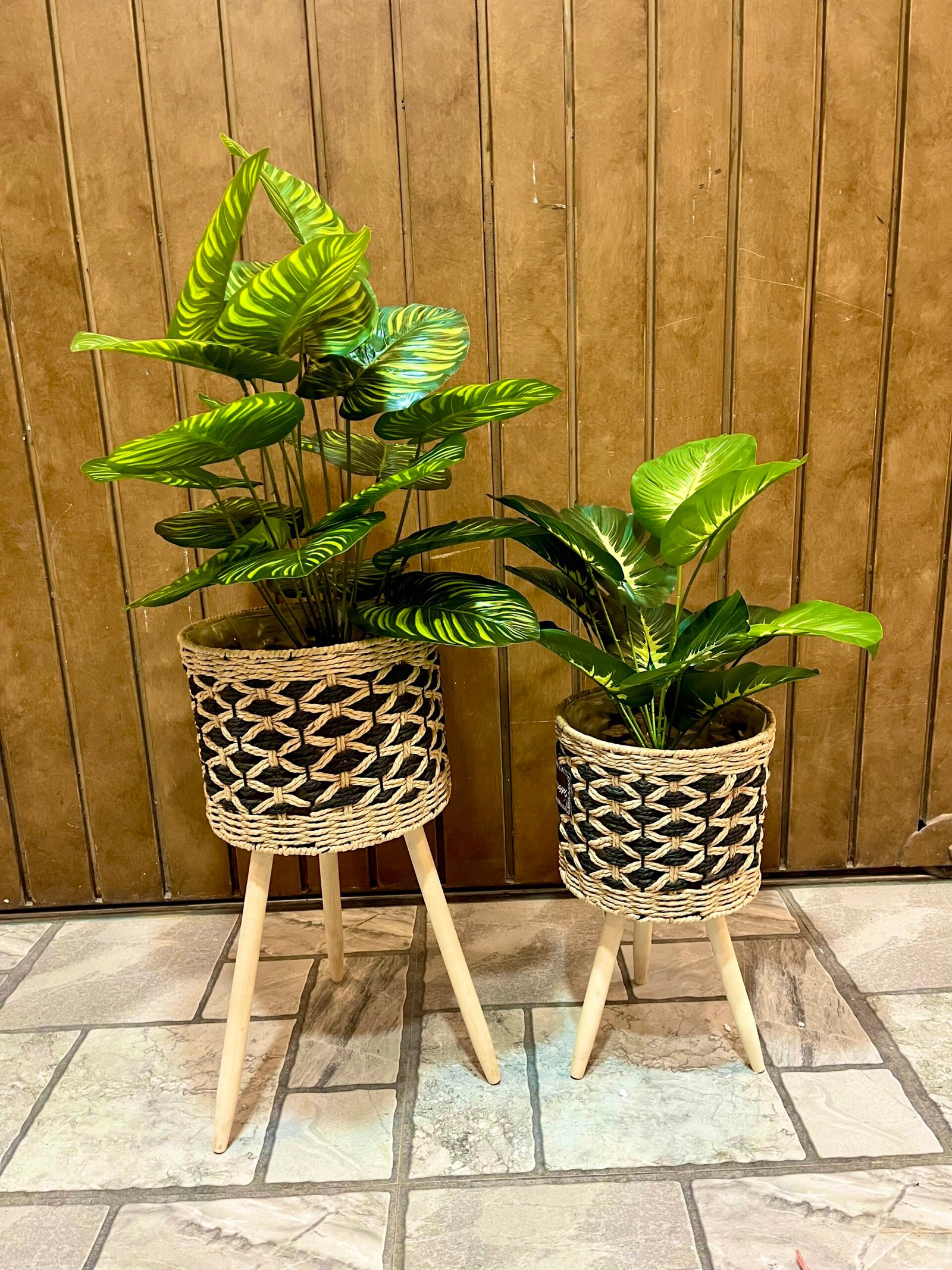Plant with jute basket pair big 3.5 feet small 2 feet - Image 3