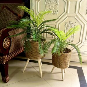 Fish palm with tripod planter set