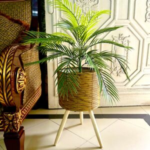 Fish palm with tripod planter 2.69 feet
