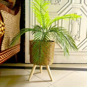 Tripod planter with fish palm 2.17 feet(9 leaves)