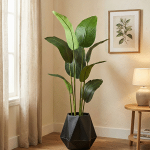 Banana plant with diamond planter height 5 feet