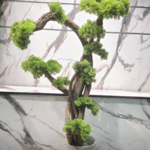 Bonsai plant 43 inch