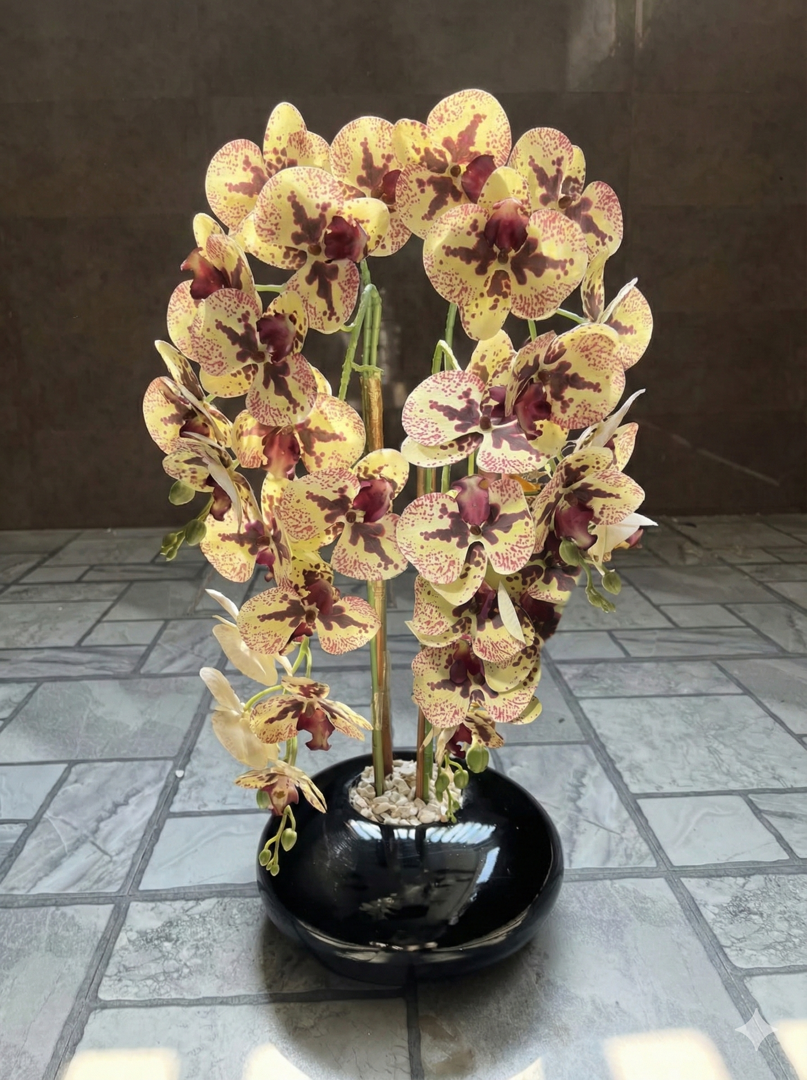 Orchid in oval base vase (multiple colors available)
