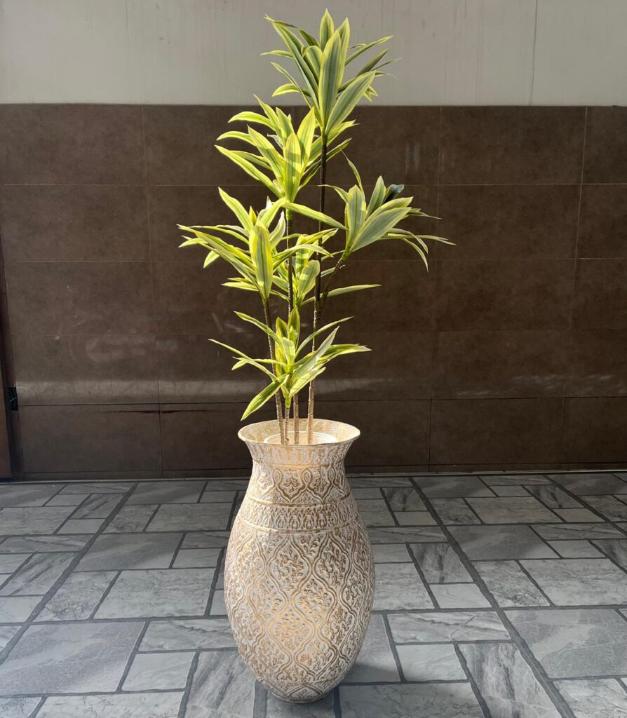 WhatsApp Image 2025-12-17 at 10.18.55 AM