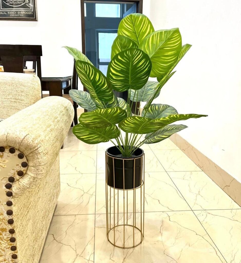 WhatsApp Image 2025-12-17 at 10.18.56 AM (1)