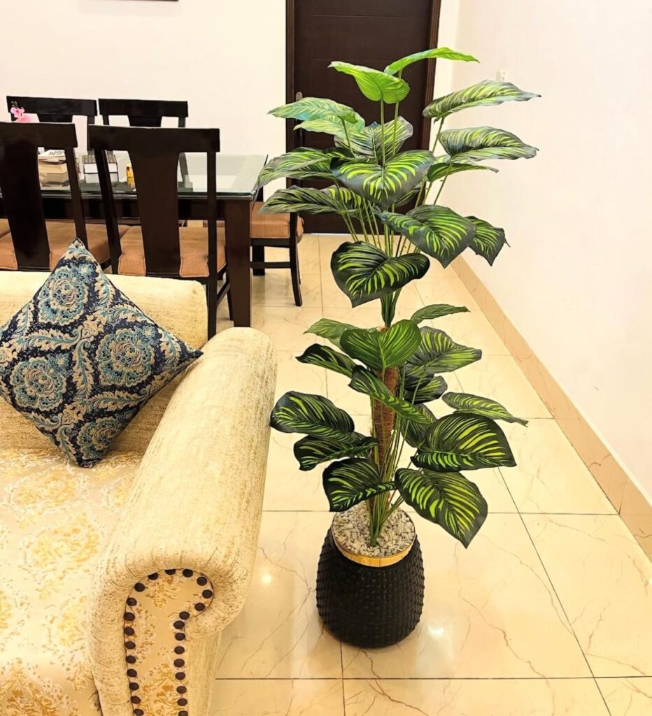 WhatsApp Image 2025-12-17 at 10.18.56 AM (3)