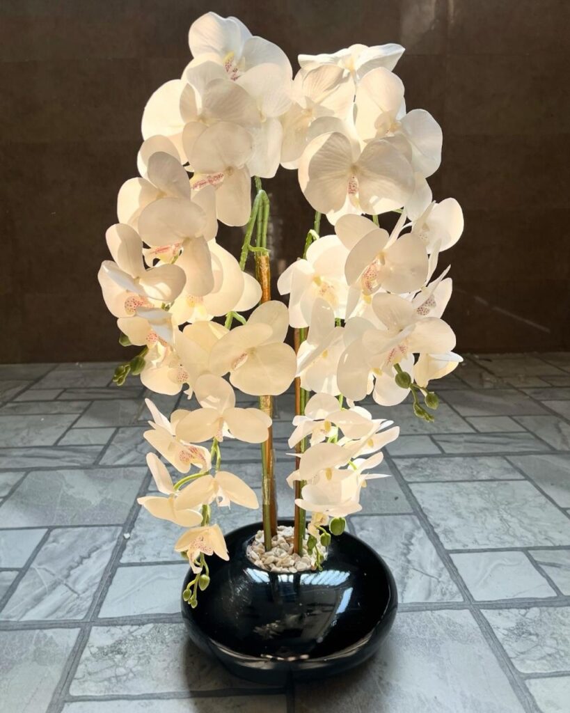 WhatsApp Image 2025-12-17 at 10.19.30 AM