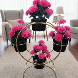 chrysanthemums