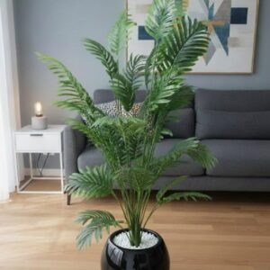 Areca palm 4.5 feet with round planter