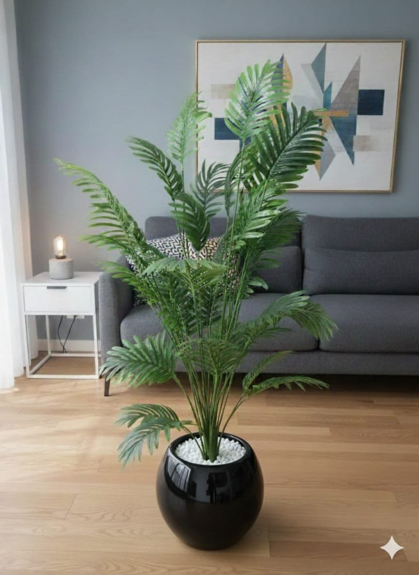 Areca palm 4.5 feet with round planter