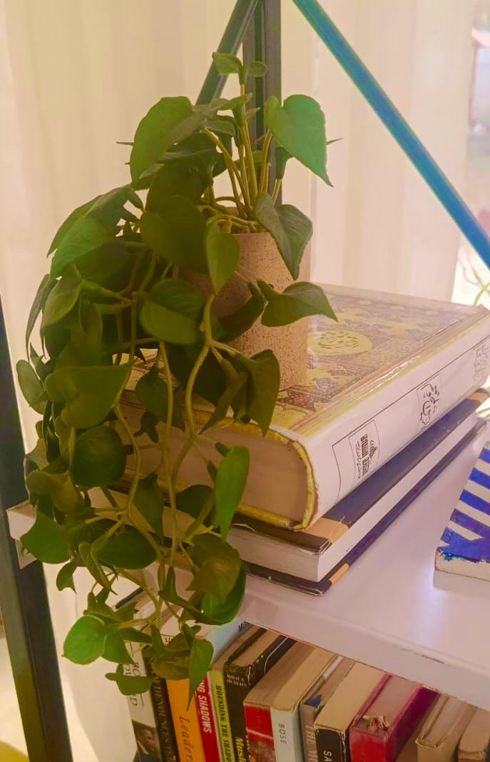 Artificial Trailing Pothos Plant with Decorative Pot