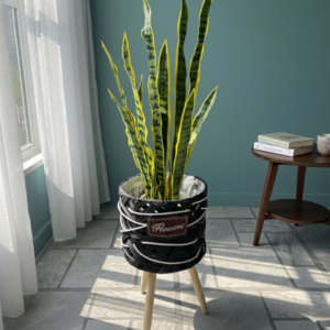 Tripod basket with snake plant