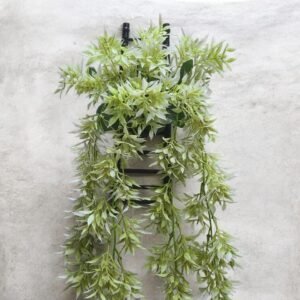Creeping Myrtle