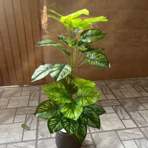 Artificial Zebra Plant