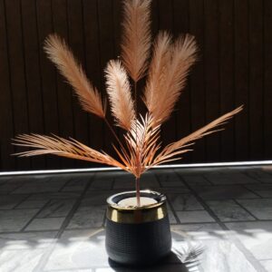 Pampas
