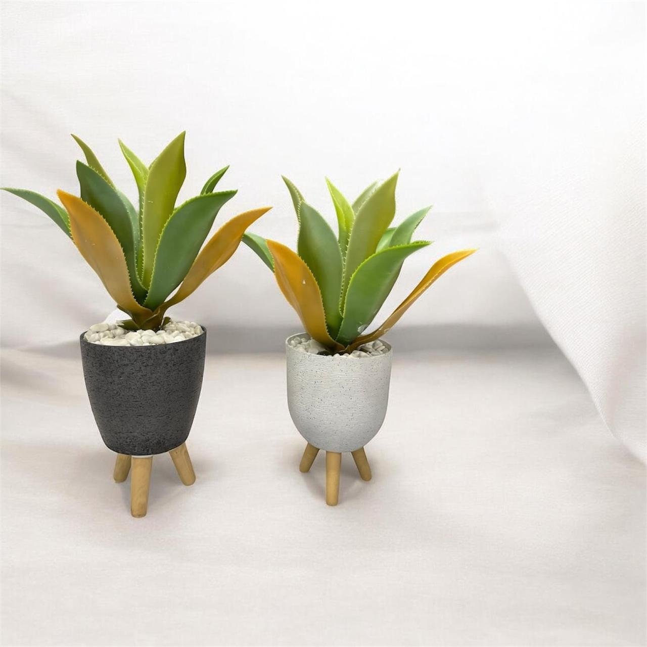 agave plant set of 2(Single available) - Image 3