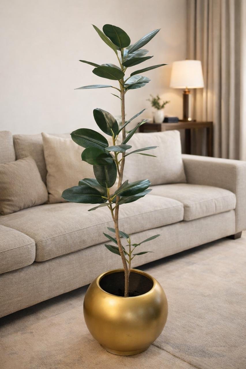 Rubber Tree - Image 3