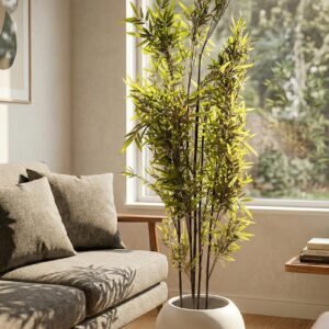 Black Bamboo Tree