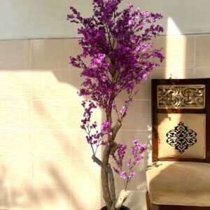 Purple Cherry Blossom Tree